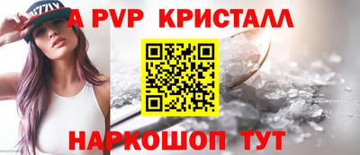 СК Волгодонск