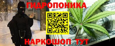 СК Волгодонск