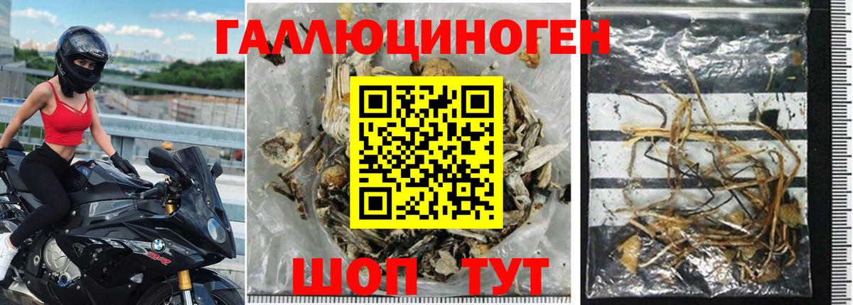 Псилоцибиновые грибы ЛСД Белая Калитва